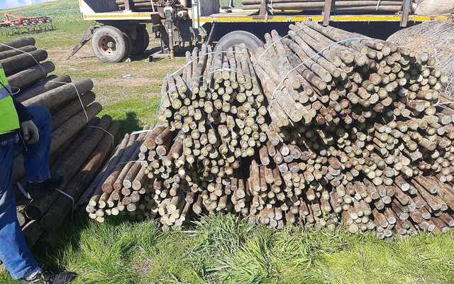 WhatsApp_Image_2022_08_15_at_11.21.47_AM_1660562892