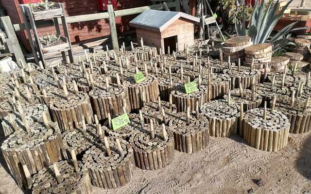 WhatsApp_Image_2022_08_15_at_11.21.48_AM_1_1660562893