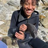 White Shark Projects - Xplorio™ Gansbaai