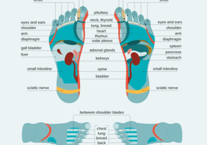 Foot Reflexology