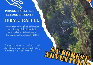 WIN a Tree-top Zipline Adventure for 4!