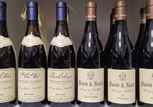 In Stock: David & Nadia