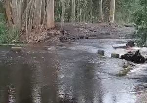 Water everywhere after the recent rain!