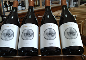 In Stock: Vigne d'Or Chardonnay