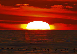 Updated Week 35 of 2013 - Gansbaai News, Specials & Events