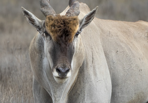 Round 2 Winner of our Photography Competition