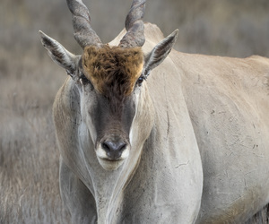 Round 2 Winner of our Photography Competition