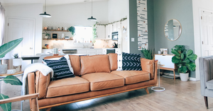 Best Types of Paint for Your Home Interior