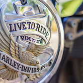 Live To Ride - Fijnbos Manor - Xplorio™ Betty's Bay