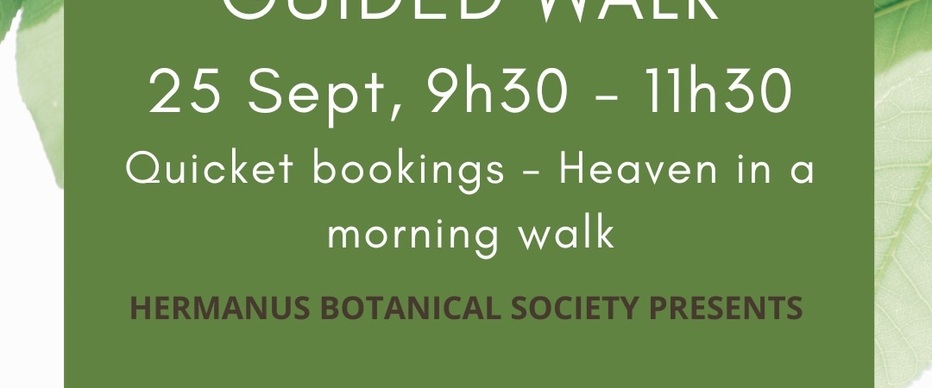 b76e3f91_395a_4473_a550_a3041878a03c_1662461150