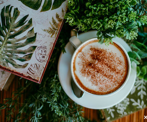 Fynbos Shoppe and Coffee Shoppe is Open During Load-Shedding