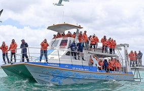 7 September 2022: Last Minute Availability for Marine Big 5 Tours