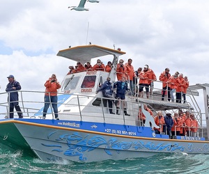 7 September 2022: Last Minute Availability for Marine Big 5 Tours