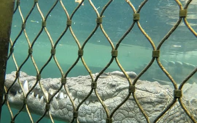 286678417_733434561326475_1437438286910395156_n_1662550286