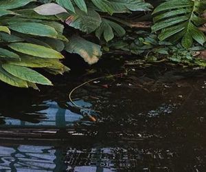 How To Build a Garden Pond