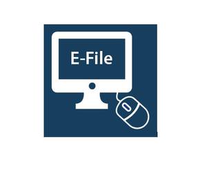 Do You Need Help With SARS E-Filing