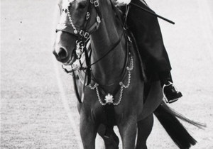 The Queen of England