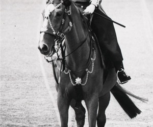 The Queen of England