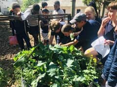 Checking in Before Harvest Time