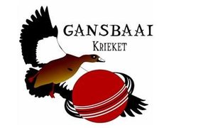 Gansbaai Krieketnuus