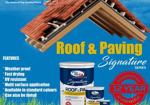 Roof and Paving Paint