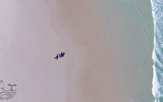 Pearly Beach Horse Trails Pearly Beach Horse Trails