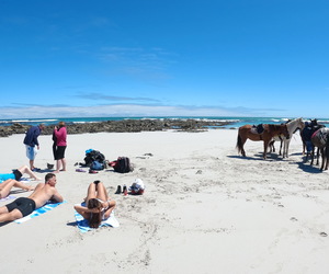 Latest Review and Awards