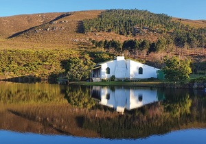 Countdown To The Pairing Art + Wine - Only 9 Days To Go!