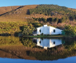 Countdown To The Pairing Art + Wine - Only 9 Days To Go!