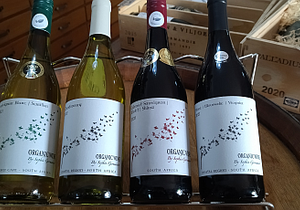 Saturday | Sunday Weekend Tasting: Organic Wines by Sophie Germanier