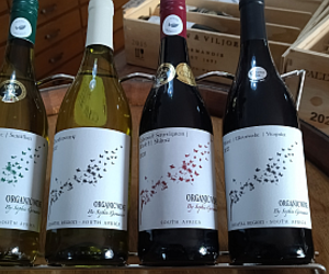 Saturday | Sunday Weekend Tasting: Organic Wines by Sophie Germanier