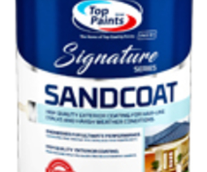Top Paints: Sandcoat - Exterior Paint
