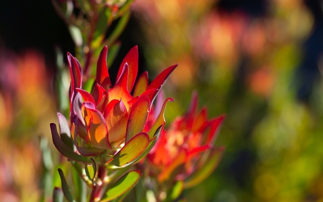 307692798_557149163082953_7336834534462962279_n_1663939884 307692798_557149163082953_7336834534462962279_n_1663939884