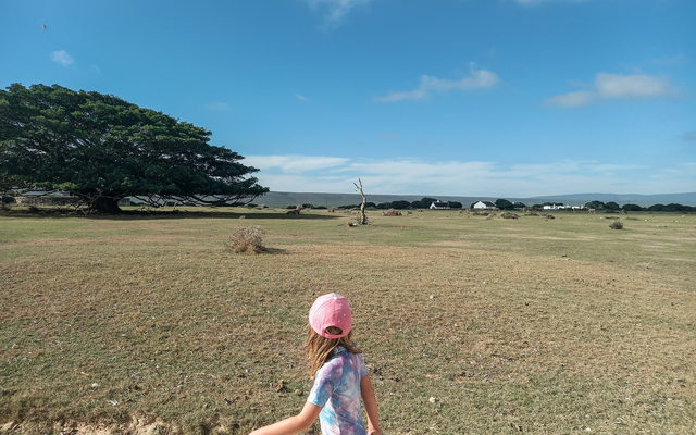 306775304_10159512364061677_4860878746702158950_n_1664201400 306775304_10159512364061677_4860878746702158950_n_1664201400