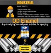 Top Paints QD Enamel Paint