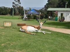 Theewaterskloof Dam: 26 September 2022