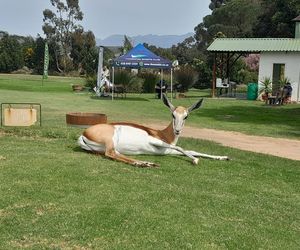 Theewaterskloof Dam: 26 September 2022