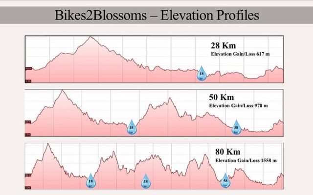 Routes and Elevation 4 - Trail's End - Xplorio™ Grabouw