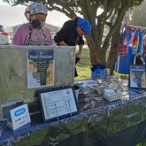 Roti Station - Kleinmond Beach Market - Xplorio™ Kleinmond