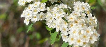 306638602_8022272787844278_8668108300516269409_n_1664348976