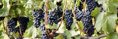 29_scaled_1664351576