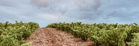 25_scaled_1664351631