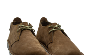 Onse Anton Goosen en sy Jantjie-Vellies