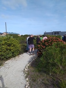 Spring Flower Meander on Heritage Day