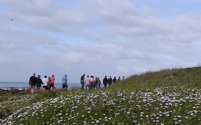 spring_flowers_1664784619