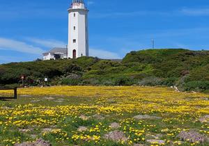 Open 3 - 8 October 2022: Danger Point Lighthouse