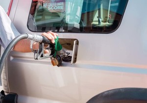 Promotion Extended: WIN a Whale-Watching Boat Trip for 2