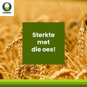 ‘n Boodskap van ons Besturende Direkteur