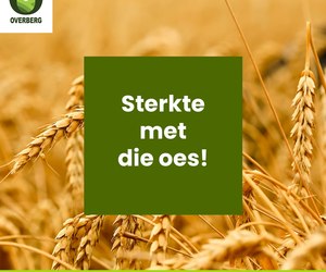 ‘n Boodskap van ons Besturende Direkteur