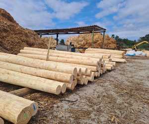 Wooden Products for Building and DIY Home Projects